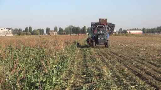 Şeker pancarıyla kent ekonomisine 2,5 milyar TL katkı hedefleniyor