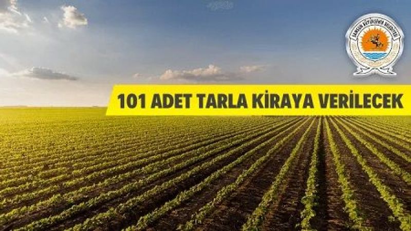 101 adet tarla kiraya verilecek 101 adet tarla kiraya verilecek