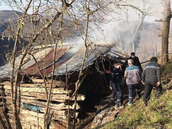 Samanlıkta çıkan yangından kurtarılan köpek yavruları tedavi altına alındı