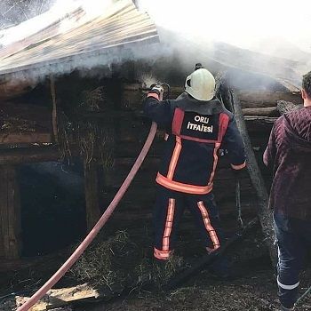 Samanlıkta çıkan yangından kurtarılan köpek yavruları tedavi altına alındı Samanlıkta çıkan yangından kurtarılan köpek yavruları tedavi altına alındı