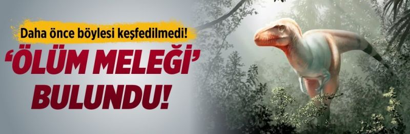 ‘Ölüm meleği’ bulundu!