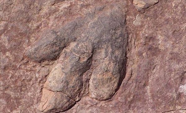 ‘Ölüm meleği’ bulundu!