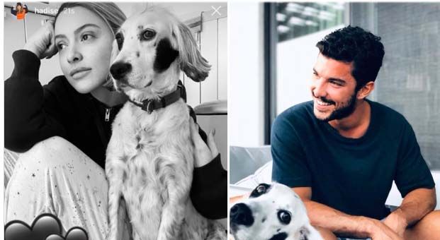 Hadise ile oyuncu Kaan Yıldırım sevgili mi Kaan Yıldırım kim?