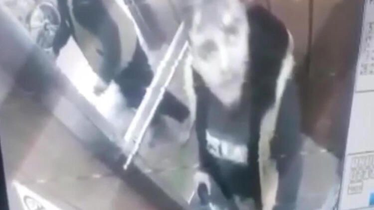 İzmir’deki iğrenç görüntülerin ardından o sucu konuştu!