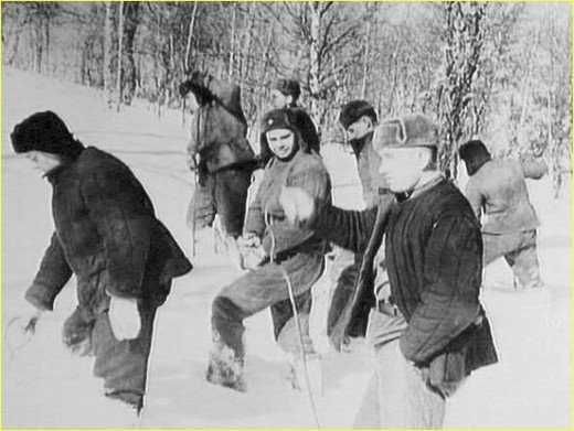 Yıllardır gizemini koruyan Dyatlov Geçidi kazasının sırrı ne?