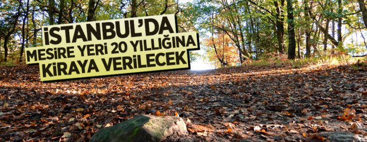 İstanbul Kanlıca’da Mesire yeri 20 yıllığına kiraya verilecektir