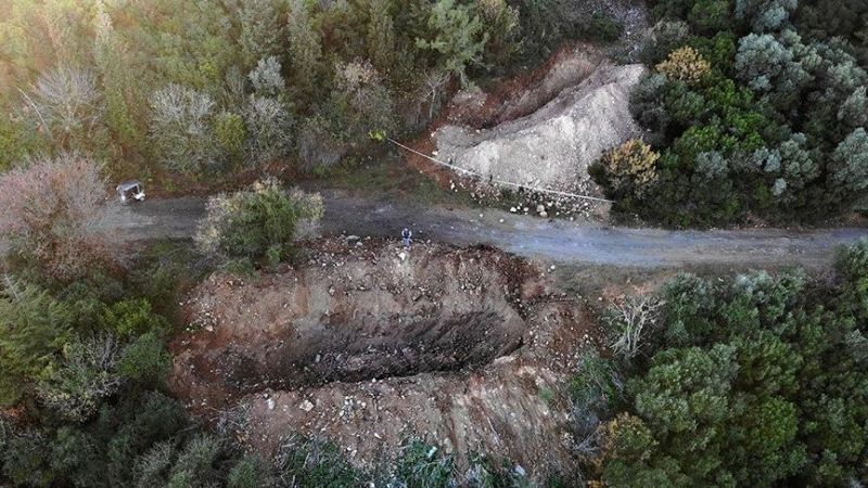 Son dakika… Büyükada’da 81 at itlaf edildi, Adalar’a hayvan girişi yasaklandı