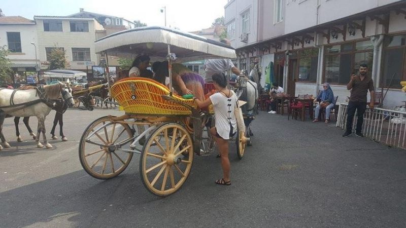 Son dakika… Büyükada’da 81 at itlaf edildi, Adalar’a hayvan girişi yasaklandı