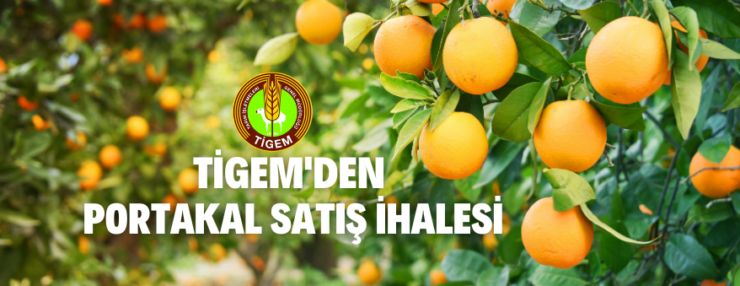 Portakal satışı yapılacaktır