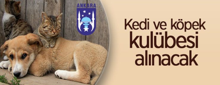 Kedi ve köpek kulübesi alınacak