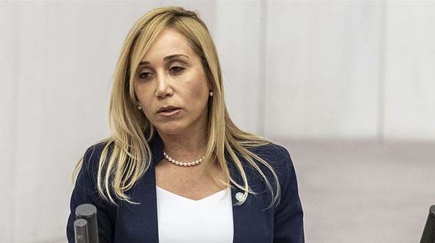 Çokal: Türk milliyetçileri dışlanıyor