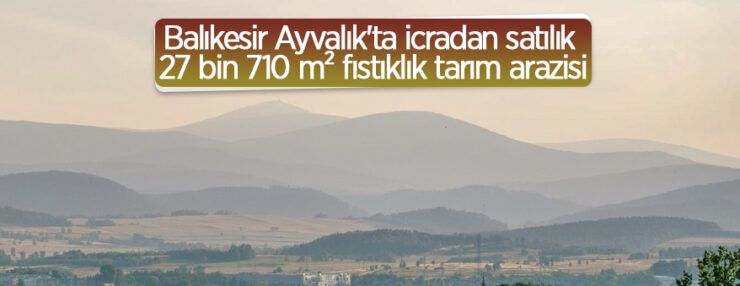 Balıkesir Ayvalık’ta 27.710 m2 fıstıklık icradan satılıktır