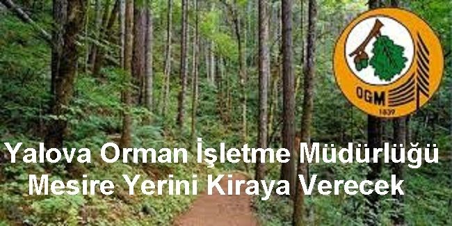 Yalova Orman İşletme Müdürlüğü Geyikdere C Tipi Mesire Yerini ihale usulü ile kiraya verecektir