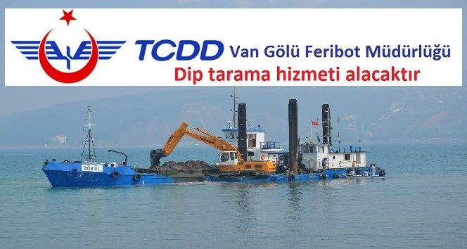 Dip tarama hizmeti alınacaktır
