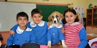 Önlük giydirilen yavru köpek ‘Fındık’ okulun maskotu oldu