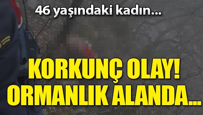 Kayıp kadının cesedi bulundu