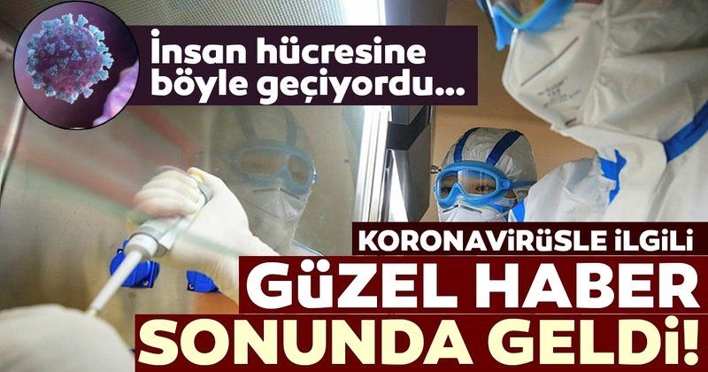 Bilim insanları, koronavirüsün yayılmasını sağlayan çivi proteininin yapısını çözmeyi başardı