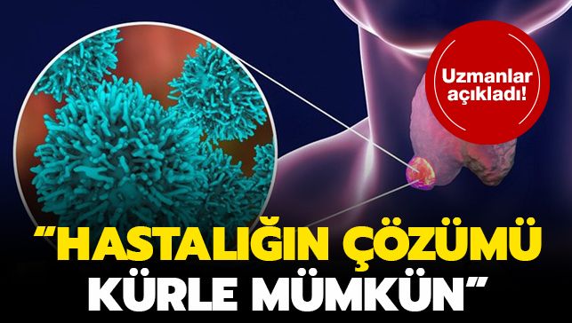 Bilim insanları, koronavirüsün yayılmasını sağlayan çivi proteininin yapısını çözmeyi başardı