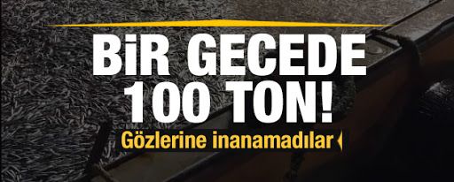 100 ton ‘hamsi’ avladılar
