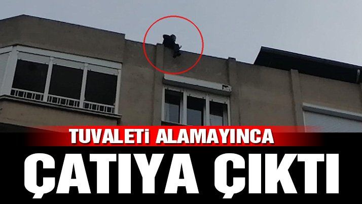 Tuvaleti alamayınca çatıya çıktı