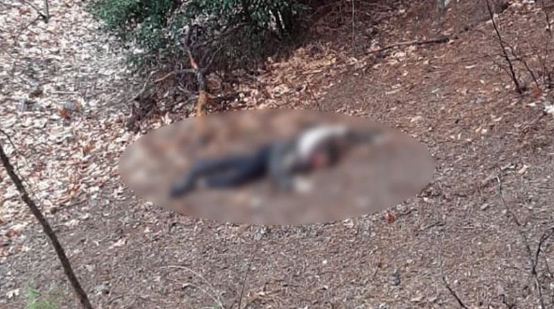 Kumalığı kabul etmeyince başını taşla ezerek öldürdü!