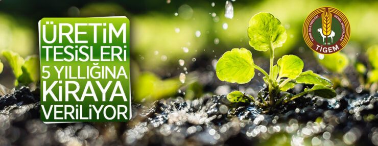 Boztepe Tarım İşletme Müdürlüğü üretim tesislerini 5 yıllığına kiraya veriyor