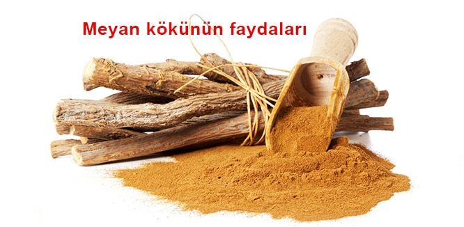 Meyan kökünün faydaları