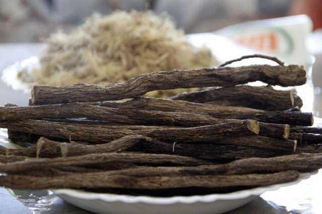 Meyan kökünün faydaları