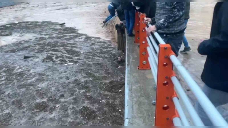 4 kişinin hayatını kaybettiği köprülü kavşakta sel anı kameraya yansıdı 4 kişinin hayatını kaybettiği köprülü kavşakta sel anı kameraya yansıdı