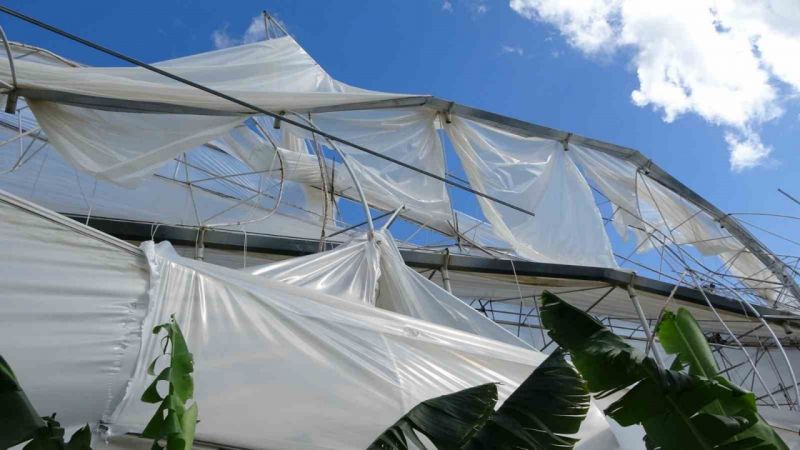 Antalya'da hortum muz serasını vurdu, 5 dönümlük alan savaş meydanını aratmadı