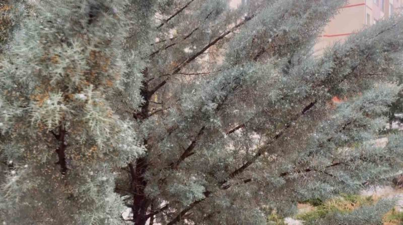 Aksaray’da 1.5 saat dolu yağdı Aksaray’da 1.5 saat dolu yağdı