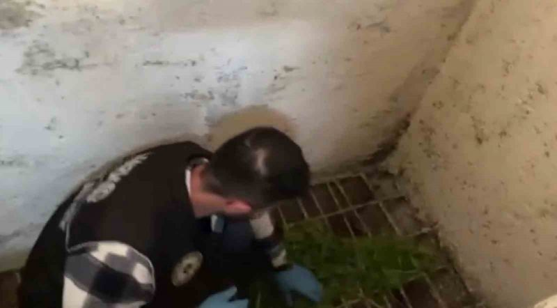 Gaziantep’te sosyal medya operasyonu: 11 gözaltı Gaziantep’te sosyal medya operasyonu: 11 gözaltı