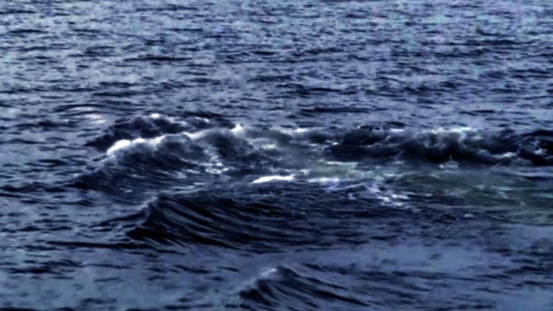 Kuzey Kore insansız su altı nükleer saldırı aracını test etti