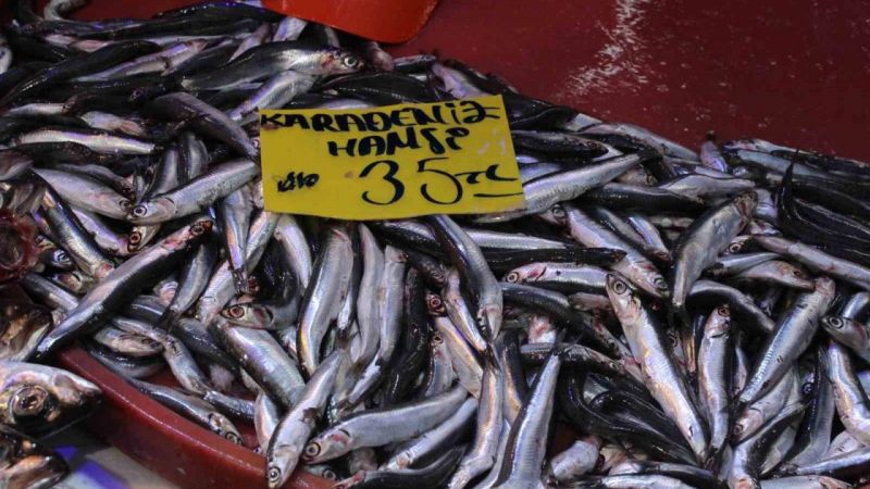 Ramazan geldi, balık fiyatları düştü
