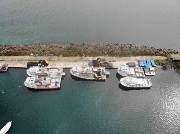 Hamsi ve istavrit olmayınca balıkçılar sezonu erken kapattı