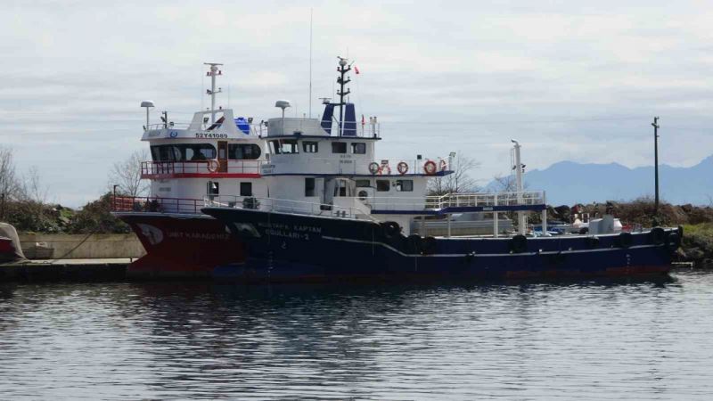 Hamsi ve istavrit olmayınca balıkçılar sezonu erken kapattı