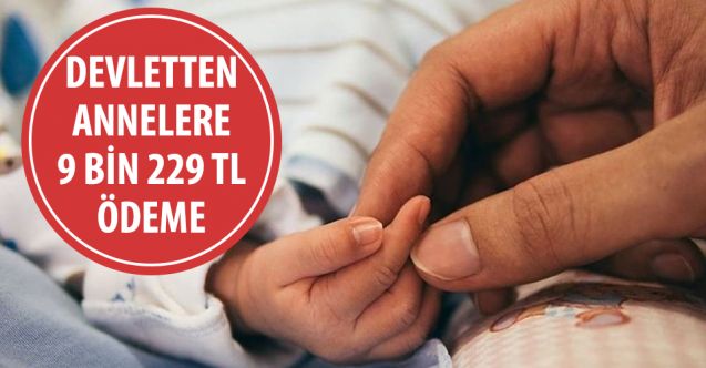 Devlet düğmeye bastı