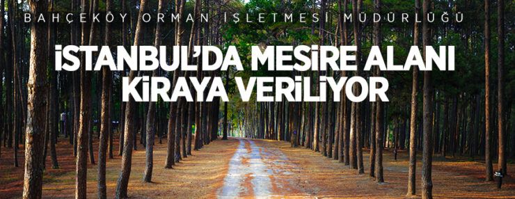 C tipi mesire yeri işletme hakkı kiraya verilecektir