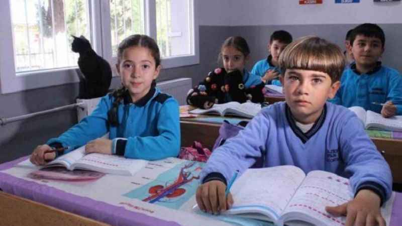 İzmir'in Patili Okulu