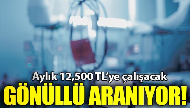 12,500 TL’ye gönüllü aranıyor!