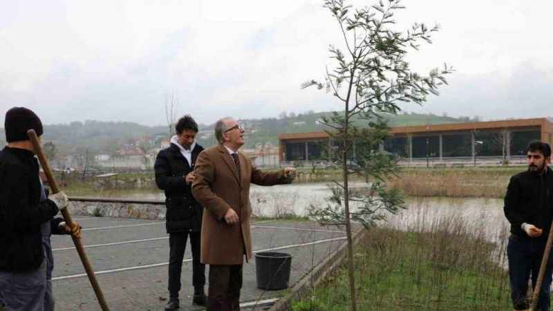 Bartın Üniversitesi'nde 'Sürdürülebilir Yeşil Kampüs' çalışmaları devam ediyor