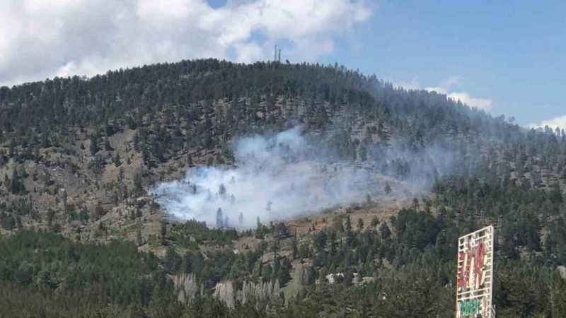 Konya’da ormanlık alanda yangın