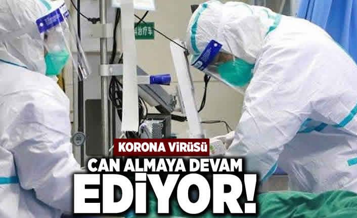 Korona can almaya devam ediyor!..