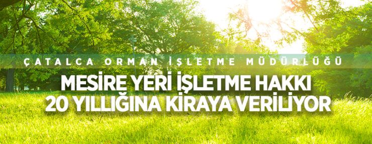 Mesire yeri işletme hakkı 20 yıllığına kiraya verilecektir
