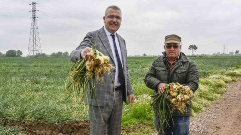 Soğan fiyatı 7 liraya kadar düşecek