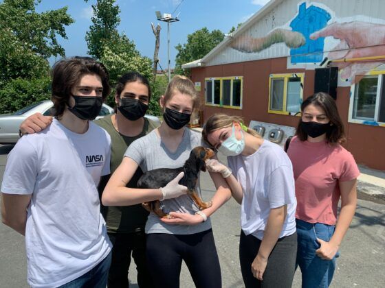 FMV Işık Okulları öğrencileri sokak hayvanları için bir araya geldi