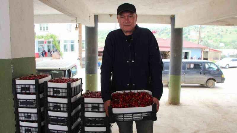 Bilecik’te ilk kiraz hasadı yapıldı fiyatı 25-30 TL arasında satılıyor Bilecik’te ilk kiraz hasadı yapıldı fiyatı 25-30 TL arasında satılıyor