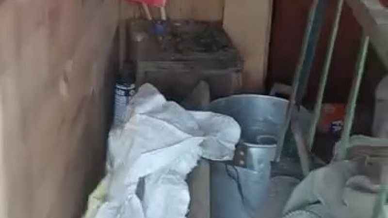 Ayılar yayla evlerini talan etti Ayılar yayla evlerini talan etti