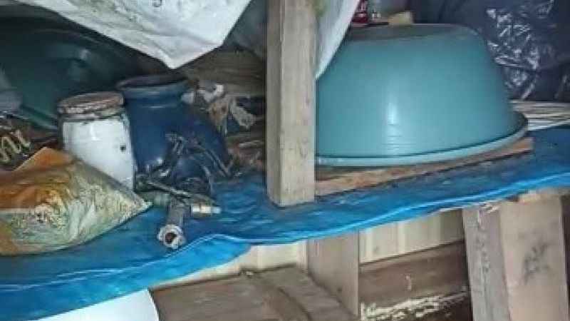 Ayılar yayla evlerini talan etti Ayılar yayla evlerini talan etti