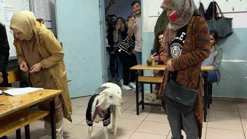 Üzerine kazak giydirdiği kuzusuyla oy kullanmaya geldi Üzerine kazak giydirdiği kuzusuyla oy kullanmaya geldi